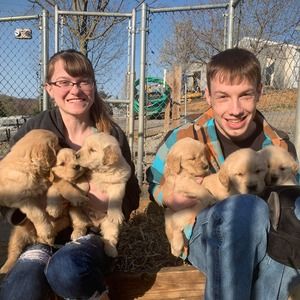 Meet your Posher, Alex